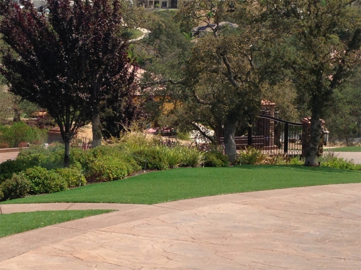 Synthetic Grass Glidden, Texas Landscape Ideas, Backyard Ideas