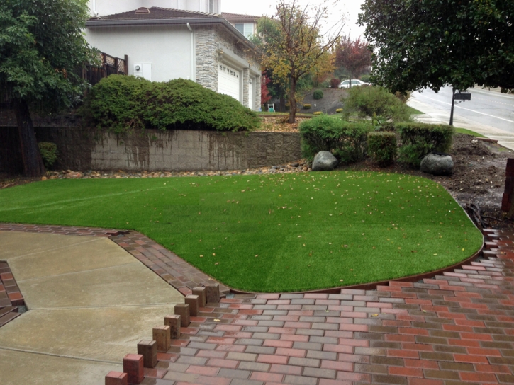 Synthetic Grass San Antonio, Texas Landscape Ideas, Backyard Garden Ideas