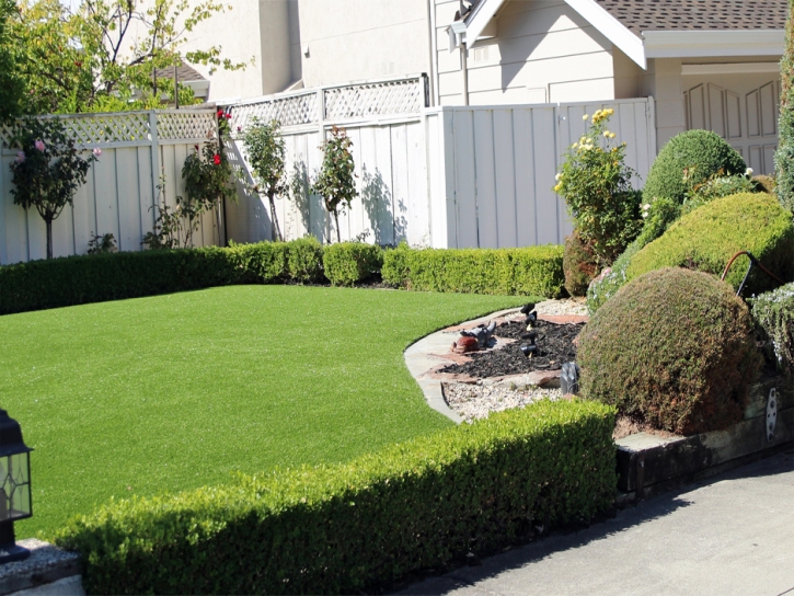 Synthetic Grass Shady Hollow, Texas Landscape Ideas, Front Yard