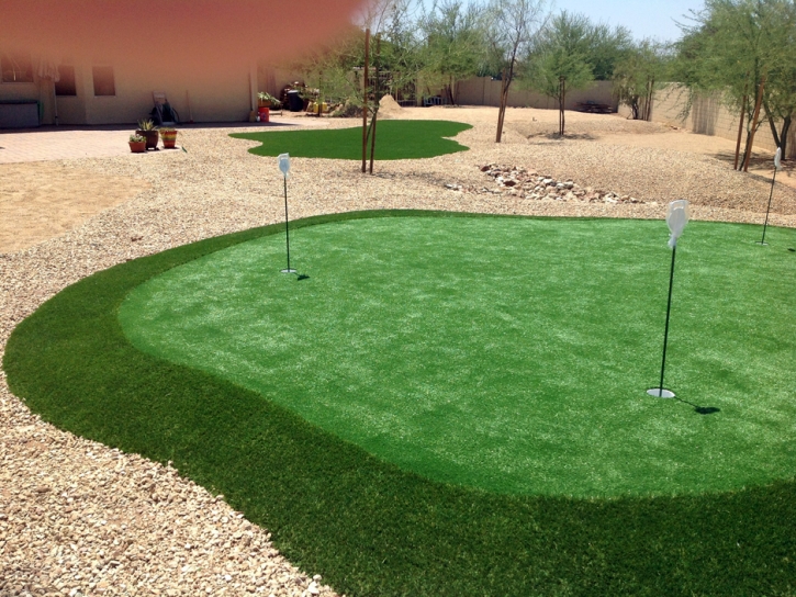 Synthetic Lawn Bay City, Texas Backyard Putting Green, Backyard