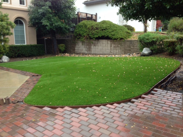 Synthetic Lawn Gonzales, Texas Roof Top, Front Yard Landscaping