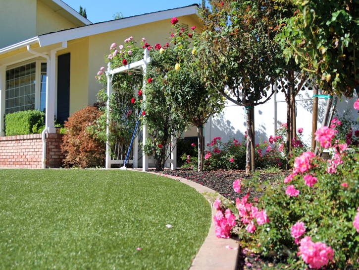 Synthetic Lawn Kendleton, Texas Paver Patio, Front Yard Ideas