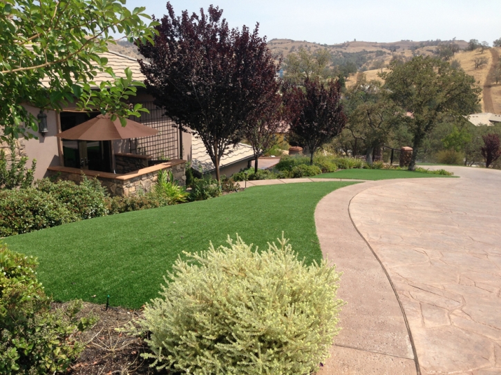 Synthetic Lawn Leander, Texas Landscape Rock, Landscaping Ideas For Front Yard