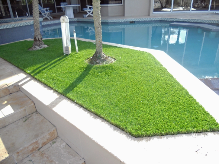 Synthetic Lawn Pleasanton, Texas Gardeners, Backyard Garden Ideas