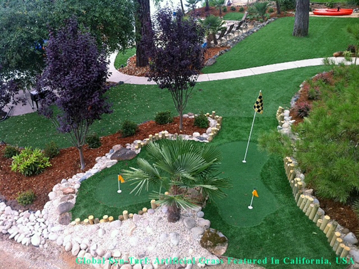 Synthetic Lawn San Antonio, Texas Artificial Putting Greens, Backyard Design