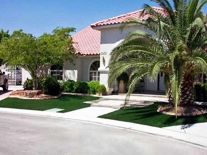 Synthetic Turf Flatonia, Texas Rooftop, Small Front Yard Landscaping