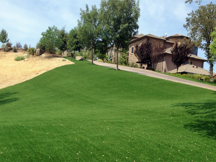 Synthetic Turf Goliad, Texas City Landscape, Small Front Yard Landscaping