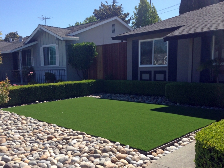 Synthetic Turf Johnson City, Texas Landscape Design, Front Yard Landscaping Ideas