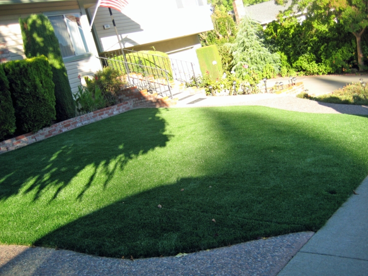 Synthetic Turf Supplier Greatwood, Texas Garden Ideas, Front Yard Landscape Ideas