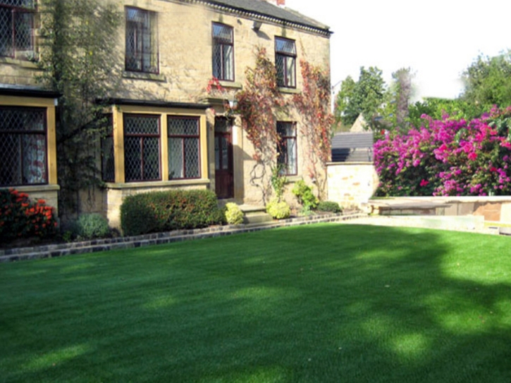 Synthetic Turf Supplier Niederwald, Texas Design Ideas, Front Yard Landscaping