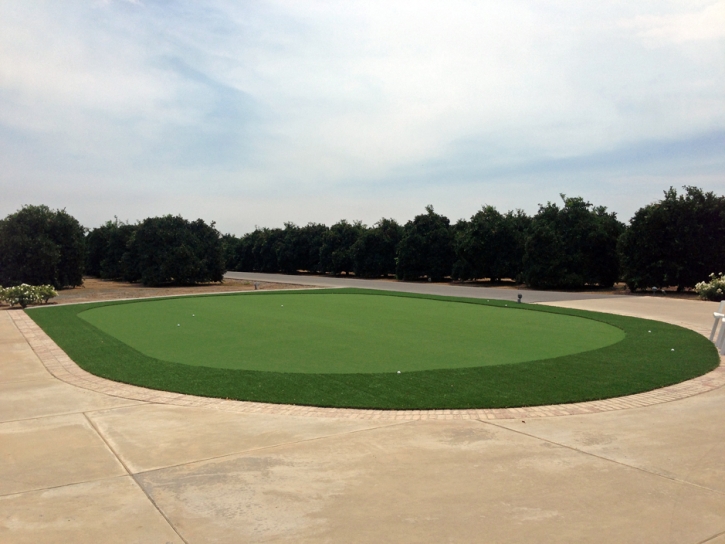 Synthetic Turf Supplier Ranchos Penitas West Colonia, Texas Putting Green Turf, Front Yard Ideas