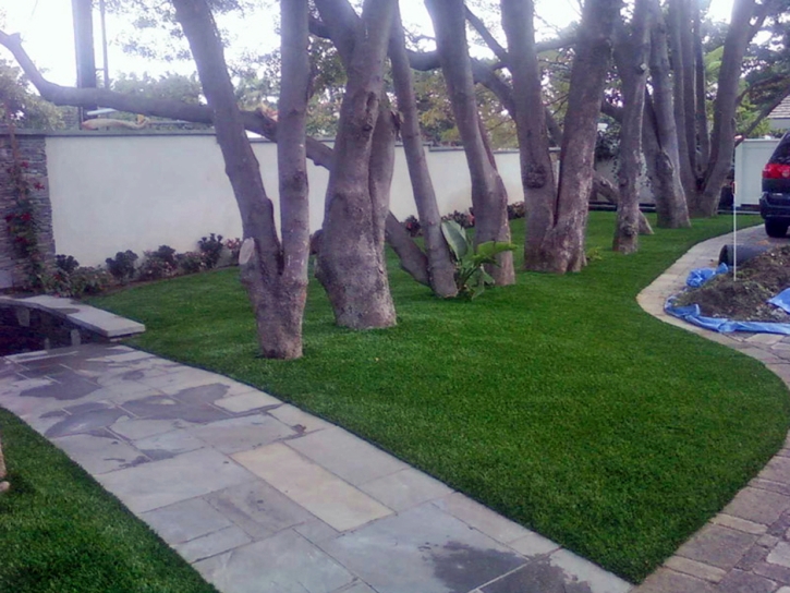 Synthetic Turf Supplier Wharton, Texas Gardeners, Landscaping Ideas For Front Yard