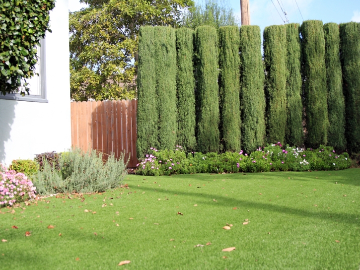 Turf Grass Goliad, Texas Backyard Deck Ideas, Front Yard Landscape Ideas