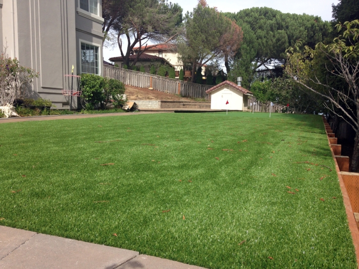 Turf Grass Rio Bravo, Texas Putting Green Turf, Beautiful Backyards